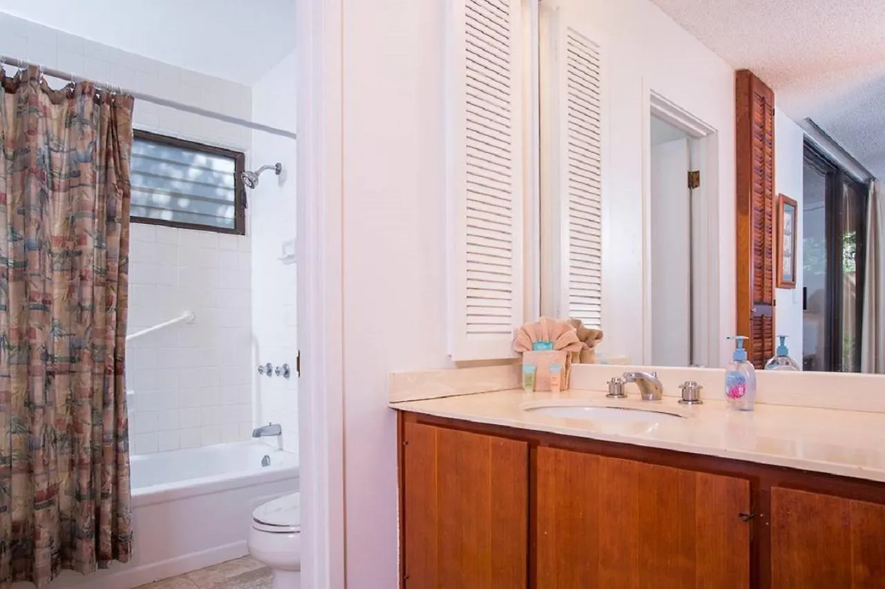 Wailea Ekahi 46A - One Bedroom Condo 0*, Wailea (Maui) Verenigde Staten